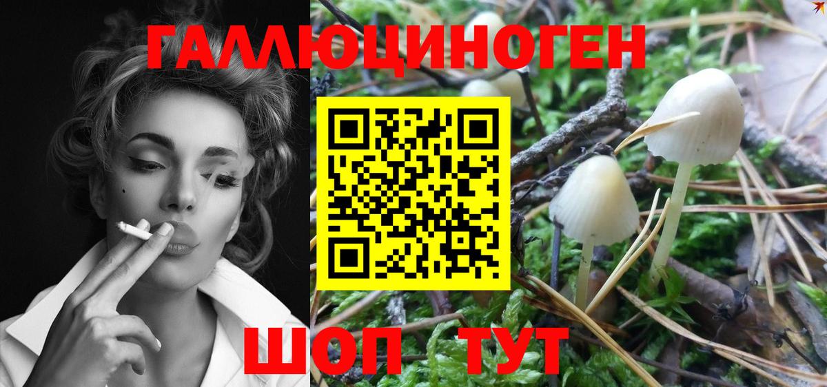 Псилоцибиновые грибы MAGIC MUSHROOMS  Вход с VPN  Еманжелинск 